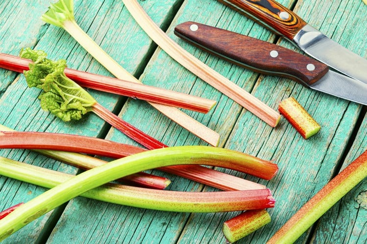 fruits et légumes de mai rhubarbe manger de saison alimentation saine équilibrée