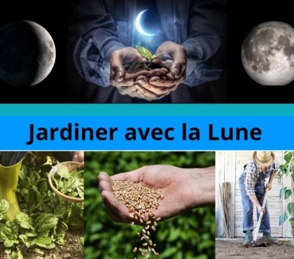 jardiner avec la lune en mai 2021 connaître phases lune dominante