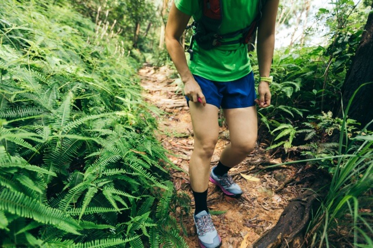 moustiques attirés par la sueur odeurs gaz carbonique