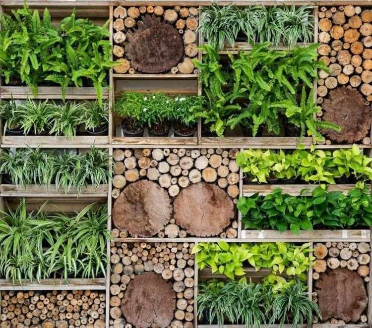 panneau végétalisé avec palettes de bois rondelles idée déco jardin avec palettes