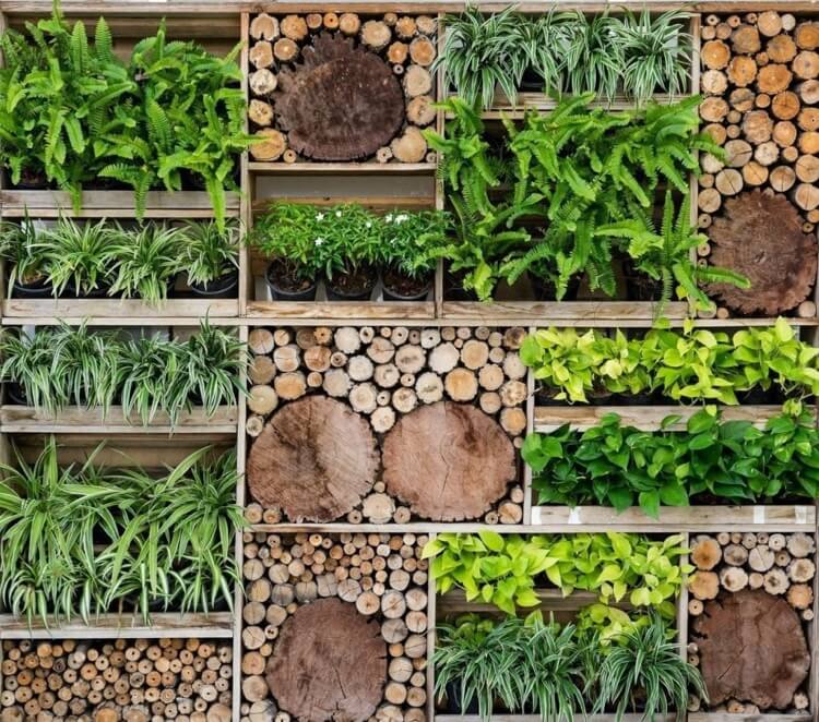 panneau végétalisé avec palettes de bois rondelles idée déco jardin avec palettes