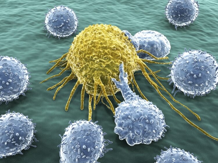 parasitisme cellules tumorales sur d'autres cellules