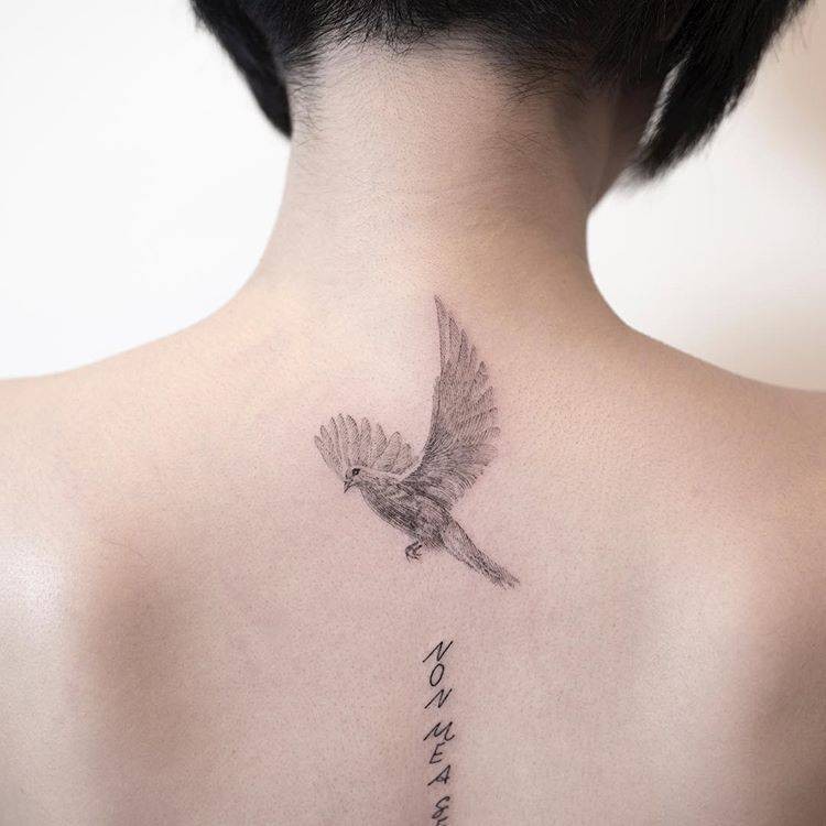 petit tatouage colombe remplissages colone vertébrale femme