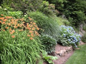 quelles plantes couvre-sol pour talus réduire érosion joli jardin