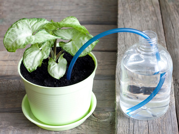 système arrosage goutte à goutte pots de fleurs fait maison arrosage par la mèche imbibée