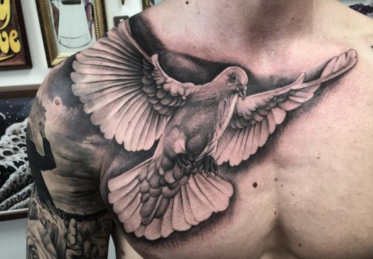 tatouage colombe torse poitrine épaule bras entier homme