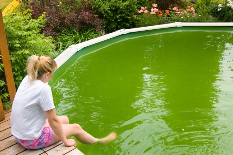 traitement eau de piscine verte intensité couleur information problème