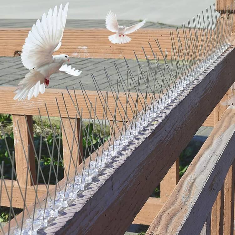 anti-pigeon balcon chaser pigeon installation inoffensive
