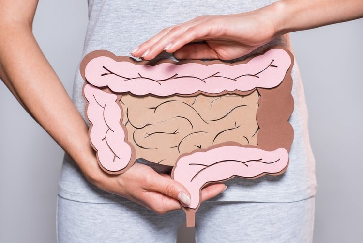 bactéries intestinales impact gravité accident vasculaire cérébral déficience fonctionnelle nouvelle étude consommation viande rouge