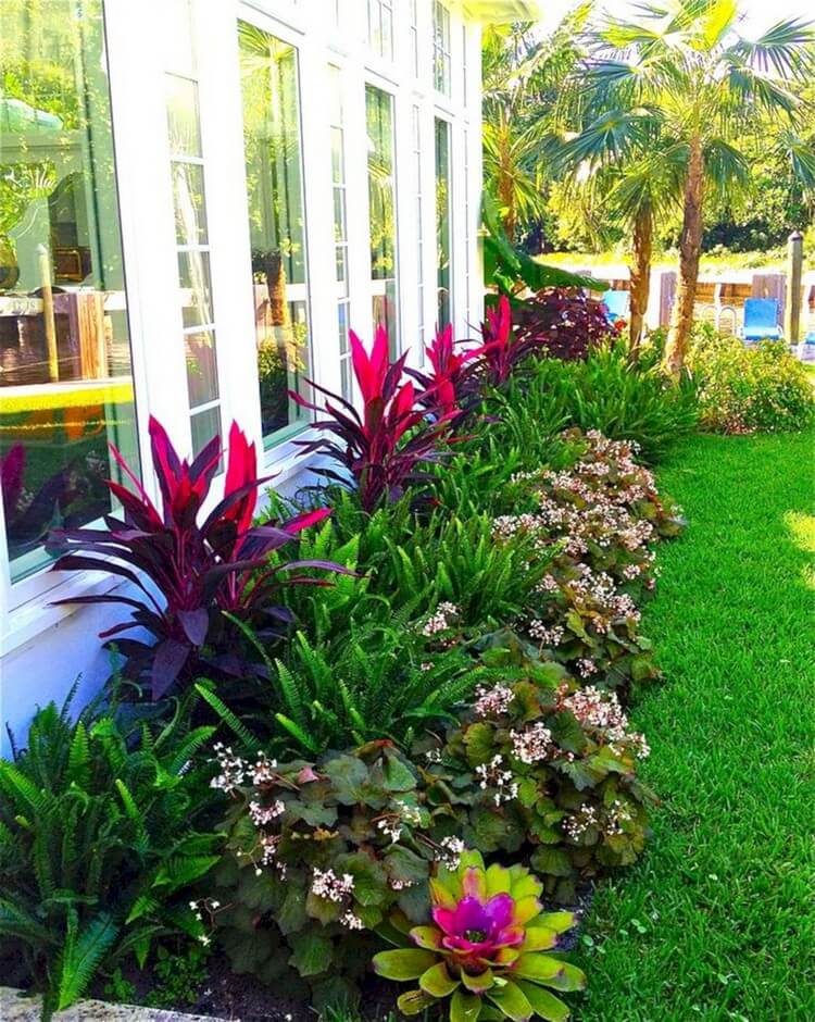 bordure fleurie plantes tropicales facade maison moderne