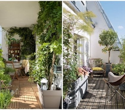 comment choisir ses plantes brise vue en pot pour terrasse ou balcon
