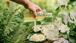 comment faire du sirop de fleurs de sureau utiliser cuisine agent édulcorant aromatisant