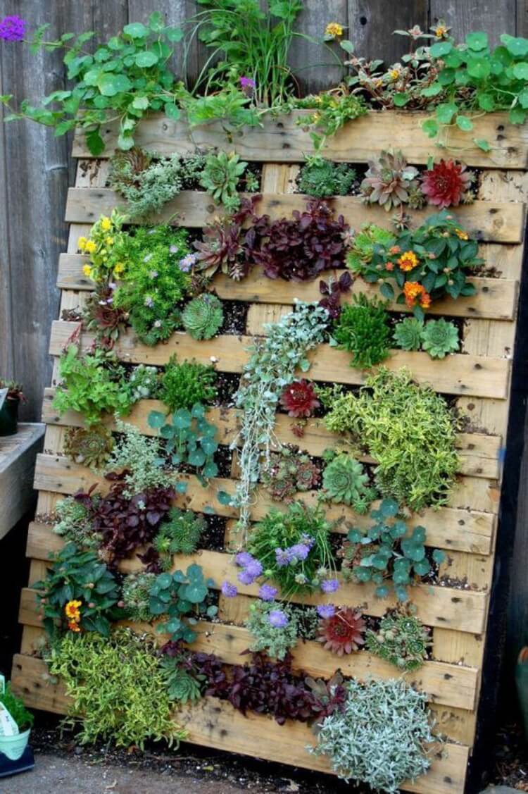 comment faire un mur végétal balcon fabriquer jardin vertical palettes