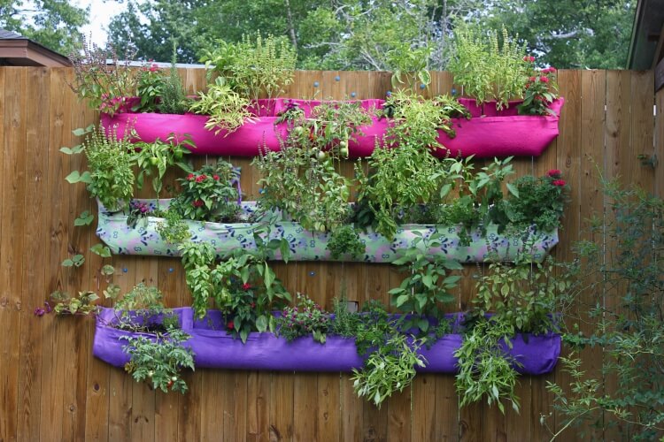 comment faire un mur végétal balcon système poche enveloppes solution simple