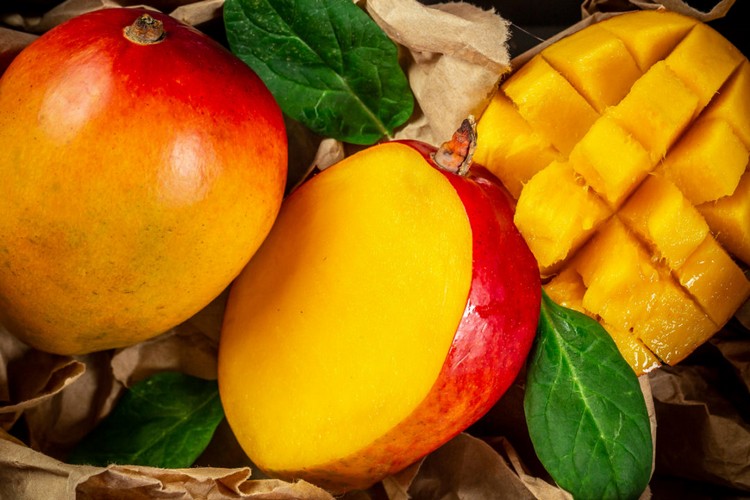 comment planter un noyau de mangue pot cultiver chez soi