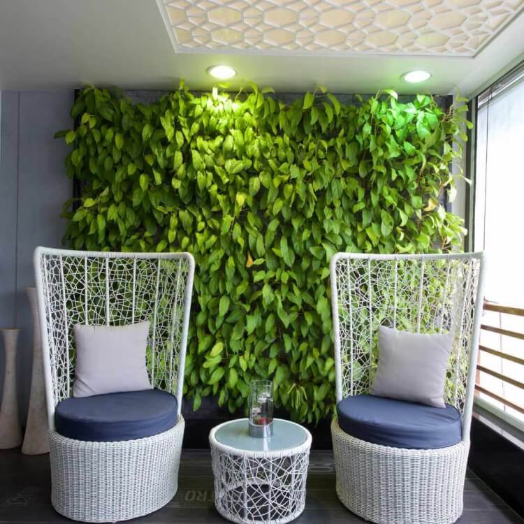 créer un mur végétal balcon quelle gamme plantes privilégier
