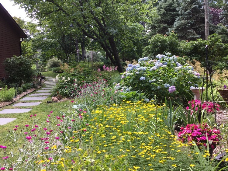 décorez le sentier jardin avec des fleures en couleur vive