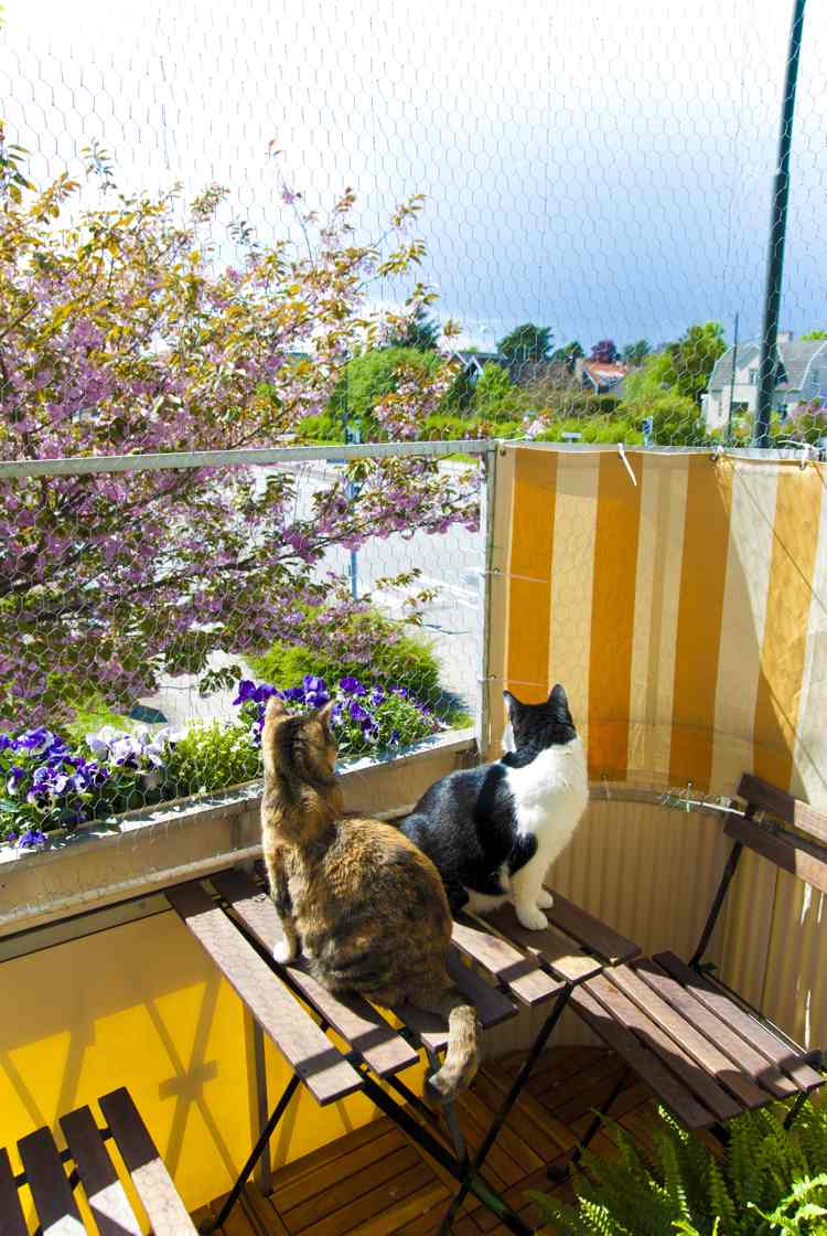 fils de fer pour lapins comment sécuriser un balcon pour les chats