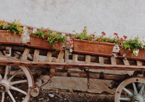 grande jardinière en terre cuite résister climat indigène