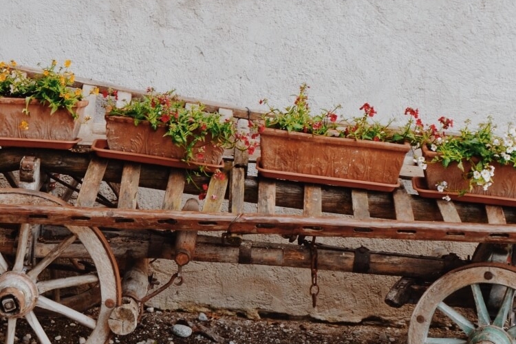 grande jardinière en terre cuite résister climat indigène