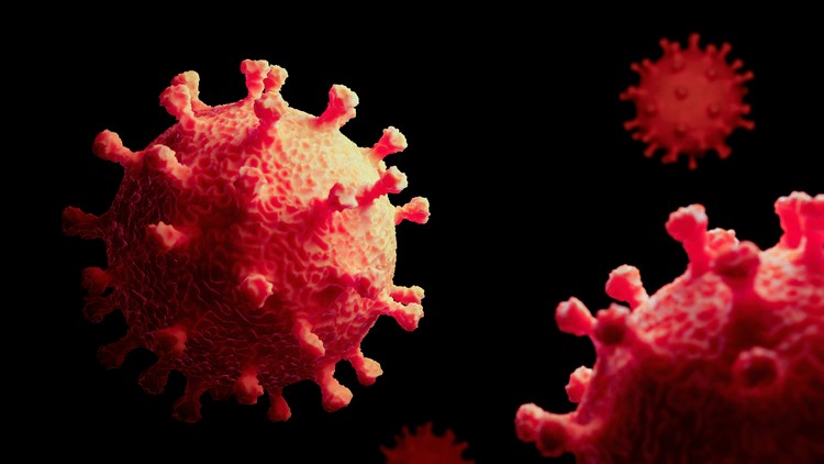 immunité Covid-19 durée une année ou toute la vie résultats de nouvelles études moelle osseuse pandémie de coronavirus