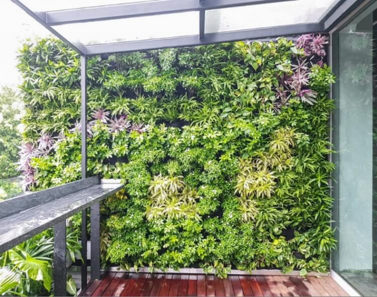 mur végétal balcon herbes ornementales arbustes vignes couvre sol