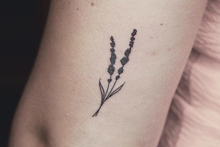 Tatouage lavande : signification et idées de tattoos inspirantes