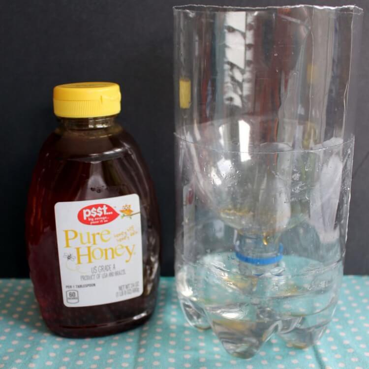 piège à moucherons naturel miel bouteille plastique