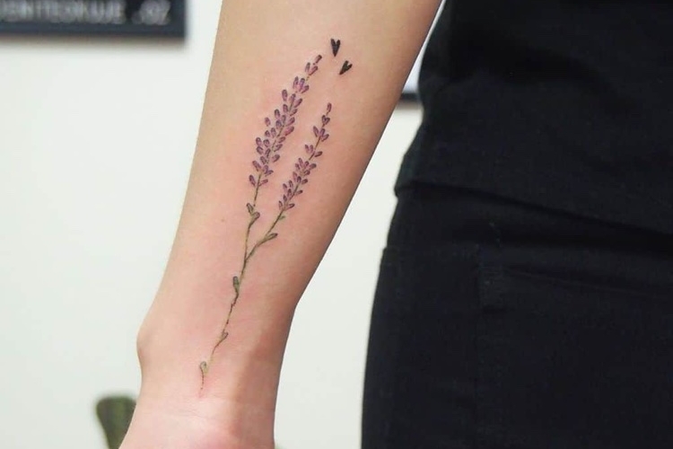 Tatouage lavande : signification et idées de tattoos inspirantes