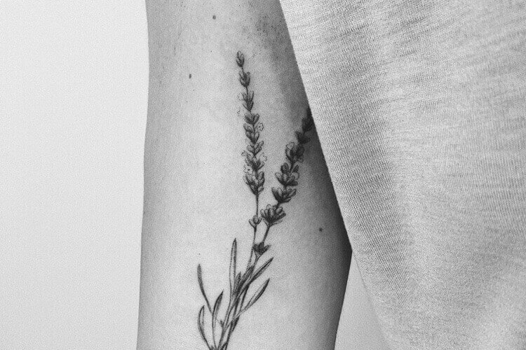 Tatouage lavande : signification et idées de tattoos inspirantes