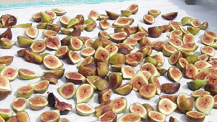 Comment faire des figues séchées au soleil