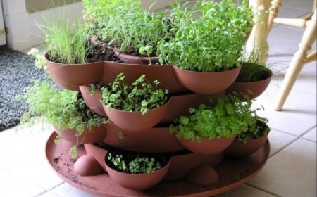association plantes aromatiques jardinière faits rapides parfums