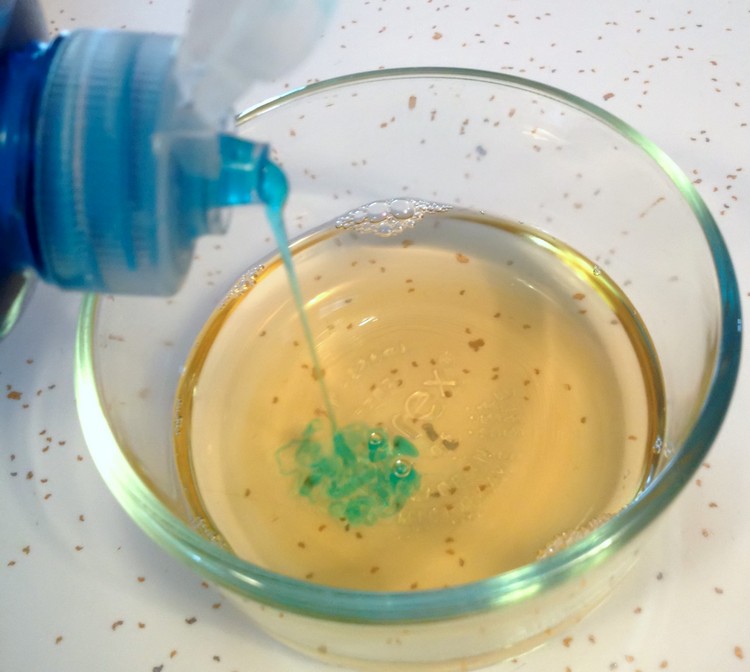 comment se débarrasser mouches naturellement vinaigre savon vaisselle