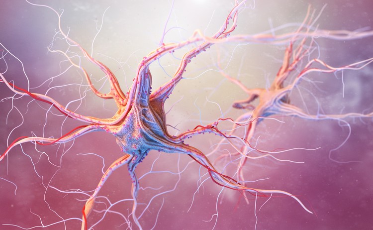connexions neuronales reconstruire psilocybine champignon hallucinogène contrer la dépression nouvelle étude