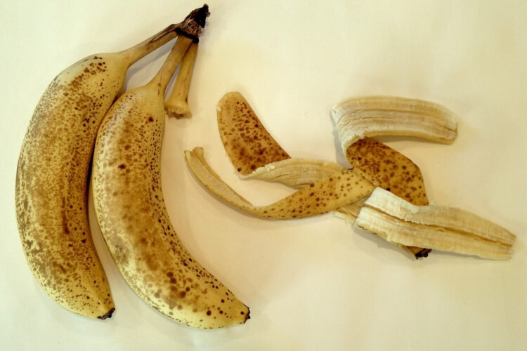 engrais peau de banane pour citronnier compostage maison nutriments
