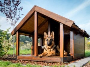 fabriquer une niche pour chien construire plateforme entrée