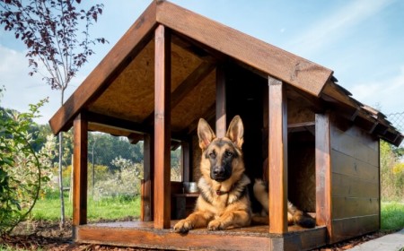fabriquer une niche pour chien construire plateforme entrée
