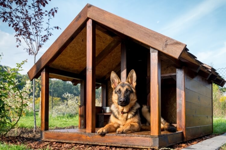 fabriquer une niche pour chien construire plateforme entrée