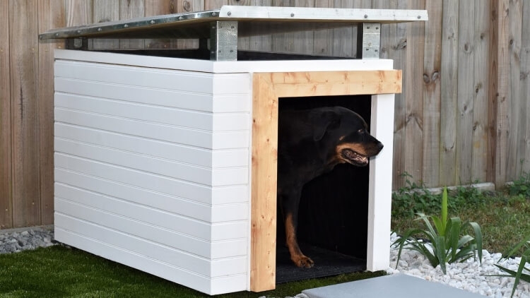 Fabriquer une niche pour chien : matériaux et tutoriels