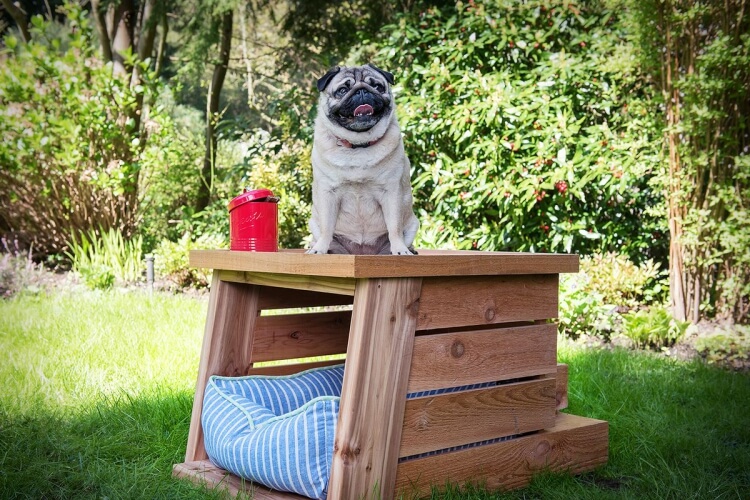 fabriquer une niche pour chien en bois mettre matelas confortable