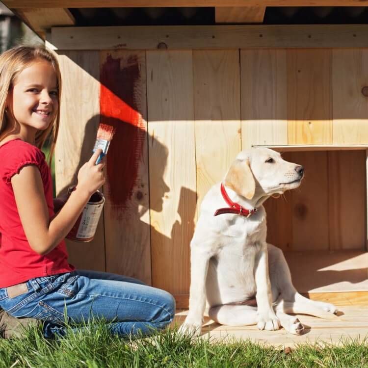 fabriquer une niche pour chien en bois peindre peinture non toxique