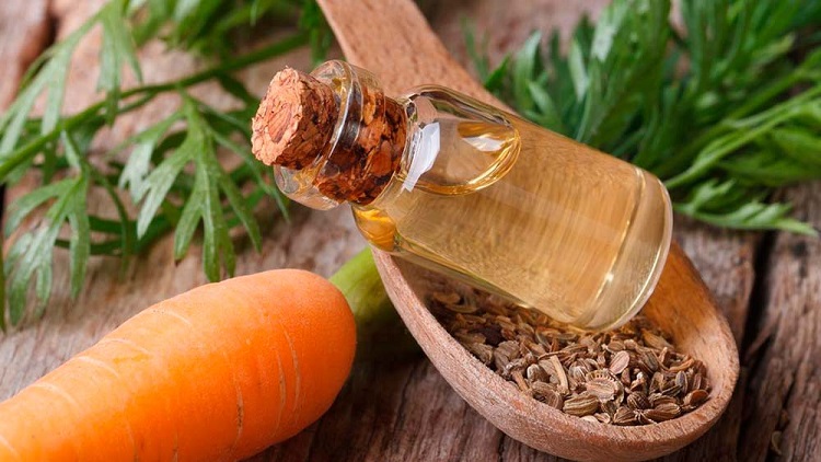 huile de carotte autobronzant - comment le préparer et comment l'utiliser