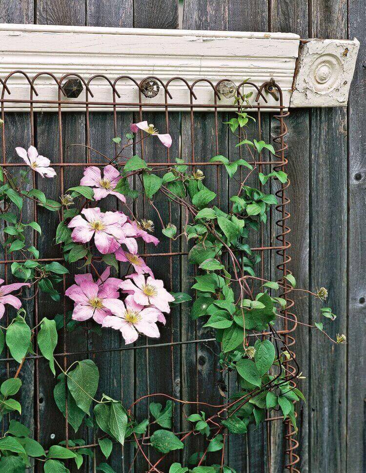 idée de déco jardin récup treillis vintage pour clématite