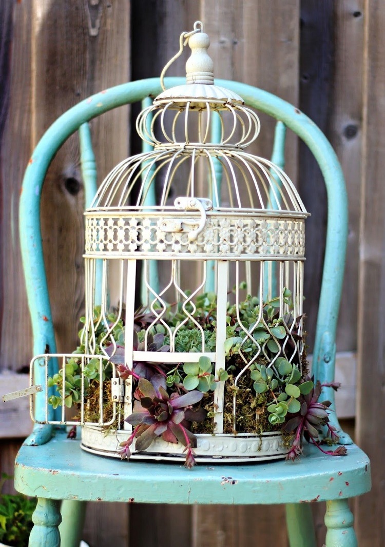 idée déco récup jardin cage oiseaux vintage plantes succulentes