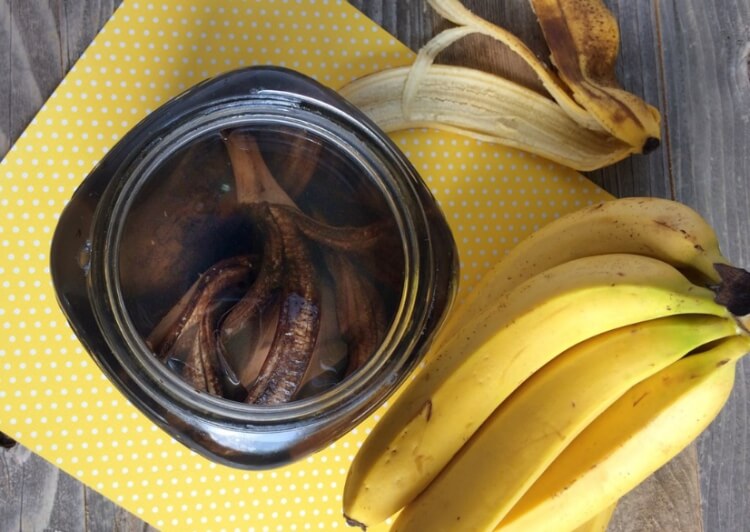 peau de banane engrais comment faire engrais pelures banane