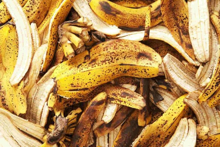 peau de banane engrais fertiliser naturellement efficace