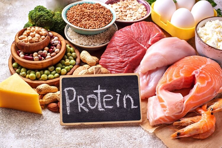 perdre du poids sans sport manger protéines