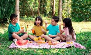 pique nique enfant idées repas activités amusantes utiles