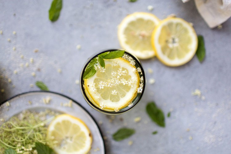 recette limonade sureau maison bienfaits santé idées