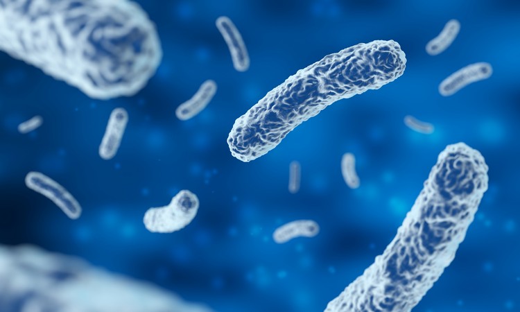 résistance antimicrobienne lutter contre les bactéries résistantes aux antibiotiques nouvelles découvertes étude scientifique
